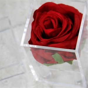 Водонепроницаемый мини одно отверстие роза коробки для прекрасного подарка 