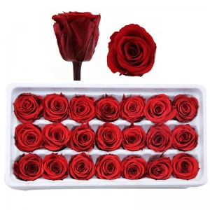 Учебная вечная консервированная роза цветочные бутоны для оптовых 