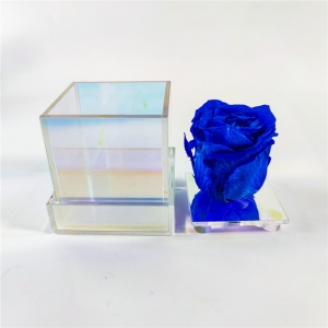 индивидуальная прозрачная акриловая коробка с 6 розами и ящиком 