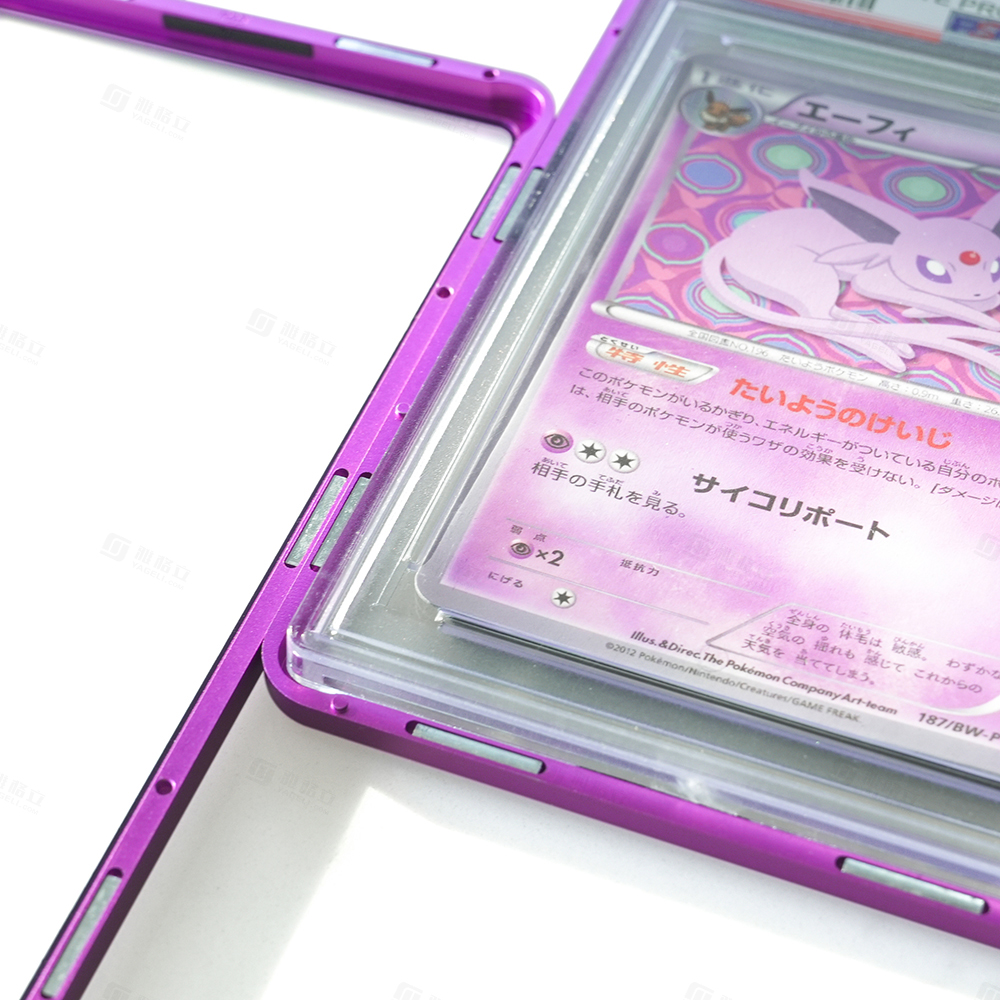 aluminum PSA protect case with stand
