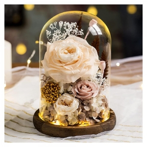 прозрачный пластиковый купол