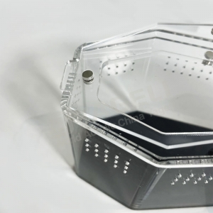 Устойчивый к УФ-излучению акриловый футляр для паука с черной задней стенкой 